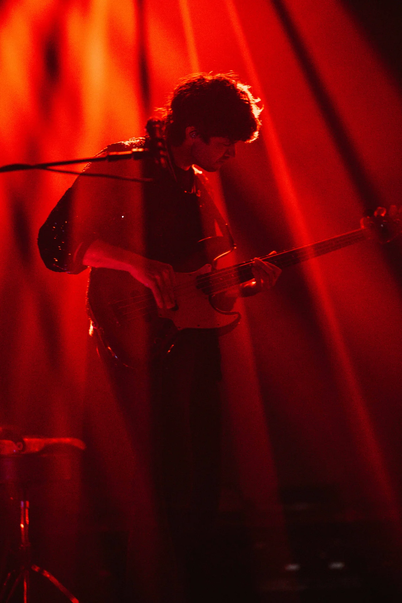 Beach House Concert - photo 14 of 38